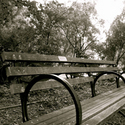 TheGirlinthePark8060